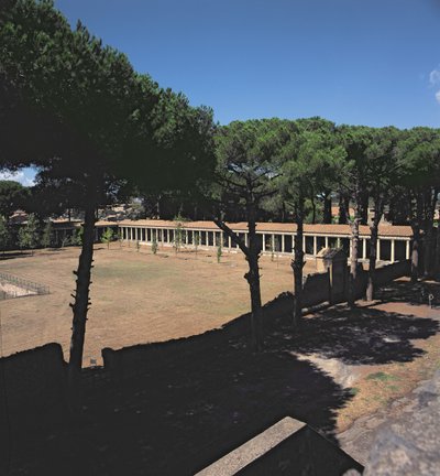 The Great Palaestra by Roman
